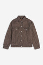 Murakami Jacket Cord Dewintery Brown