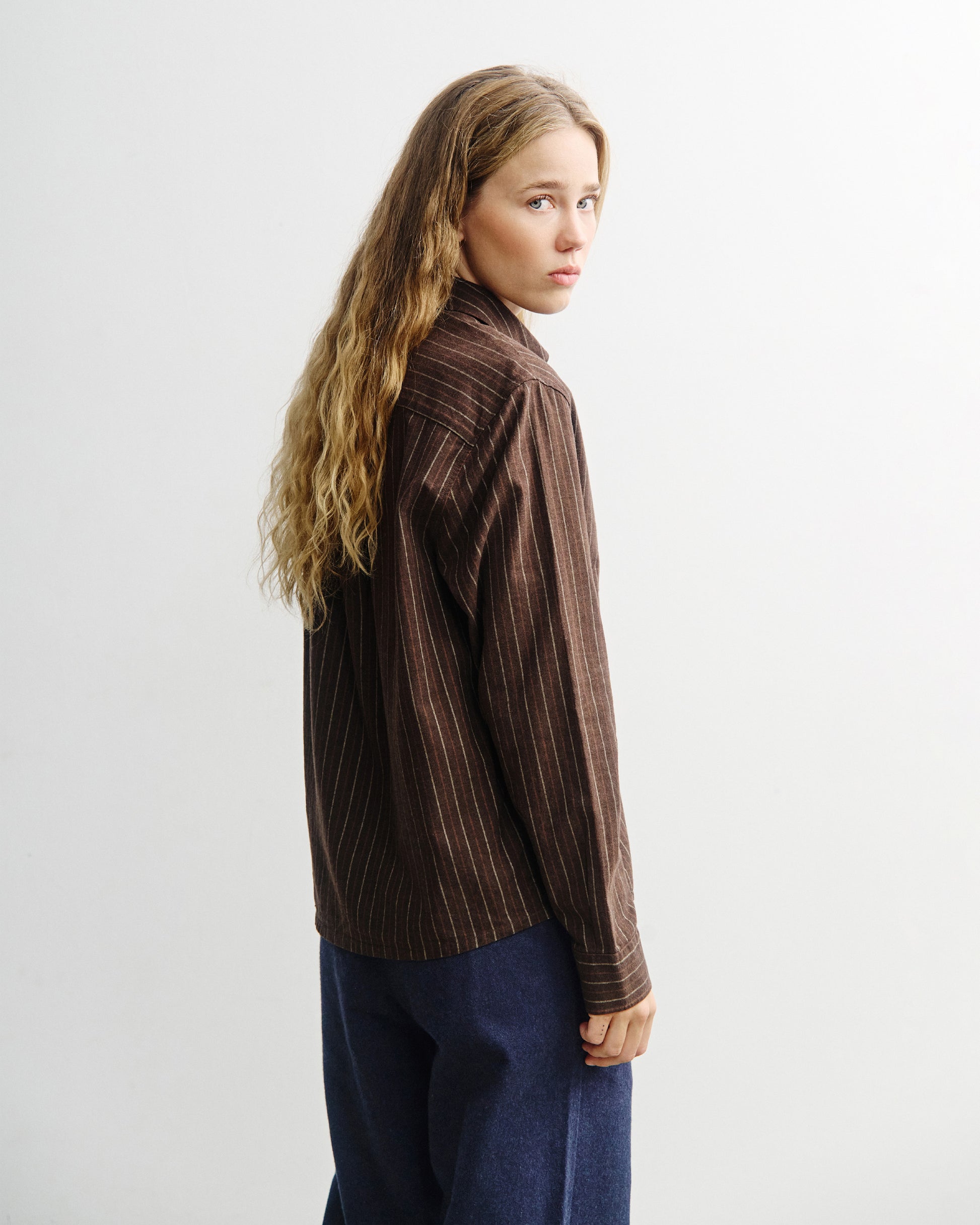 Button-Down Shirt Brown Stripe