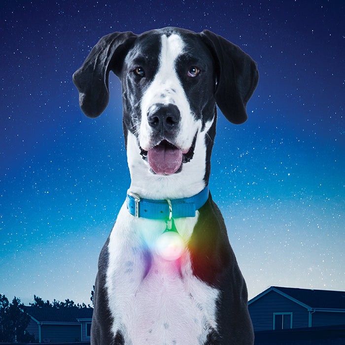 SpotLit XL Rechargeable LED-Light - NITE IZE