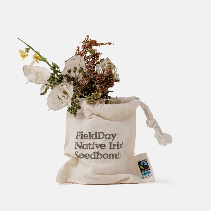 Fröbomber - FIELD DAY