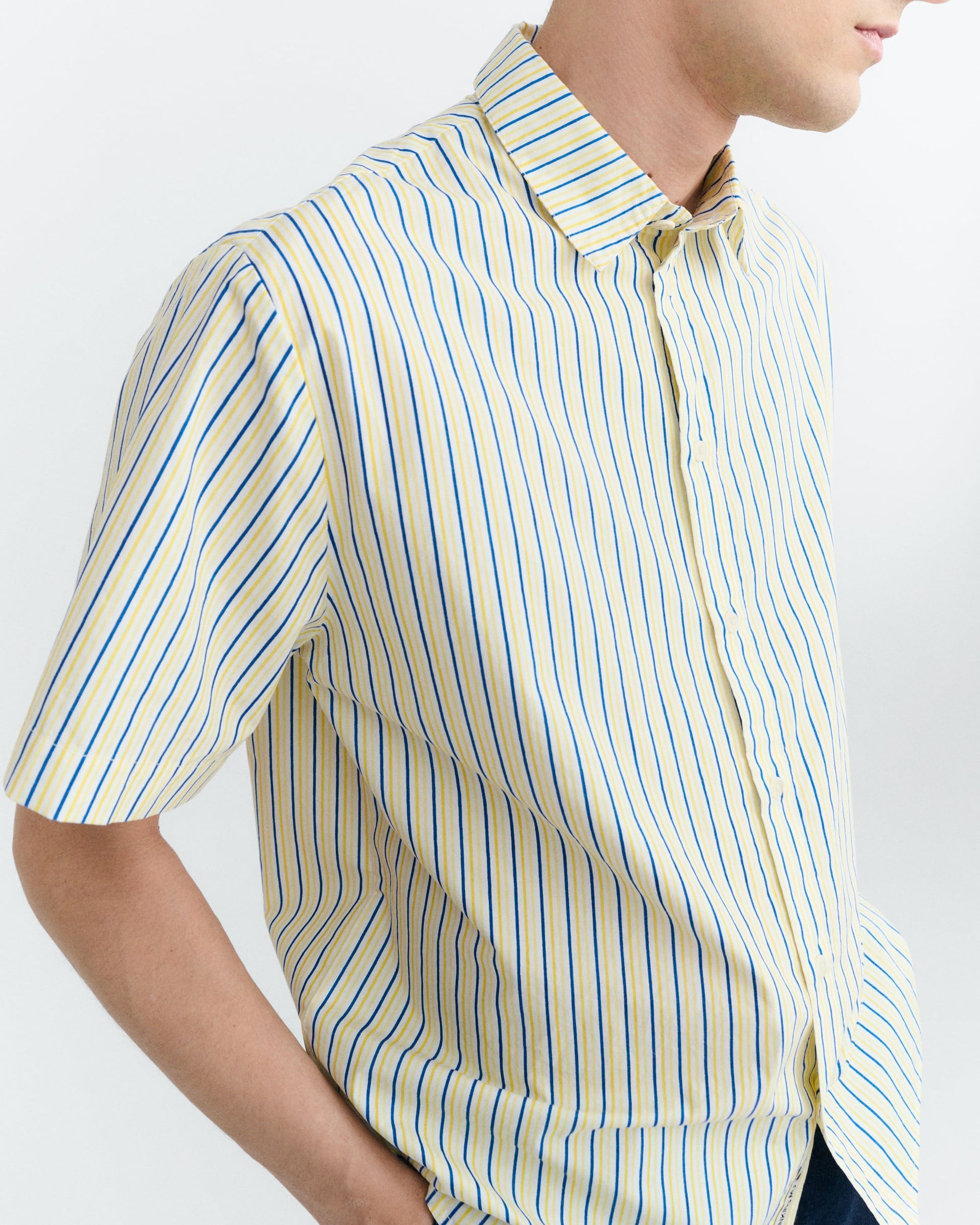 Paddy Poplin Shortsleeve Shirt Stipes